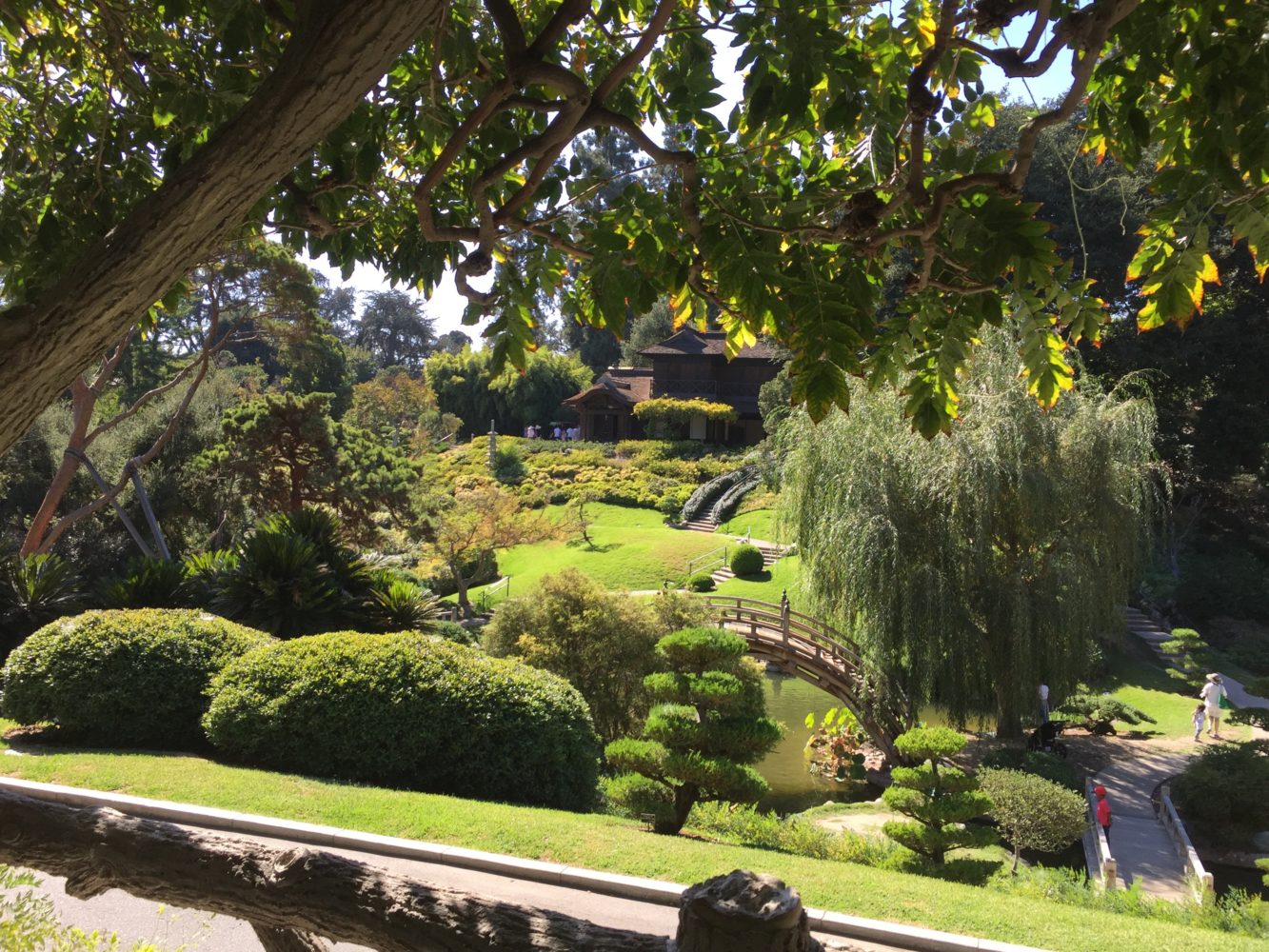 The best toddler approved parks and gardens in LA.